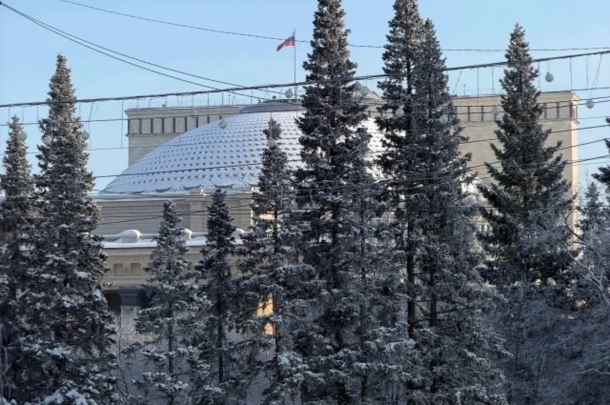    Улица Ленина первой лишится новогодних украшений в Новосибирске