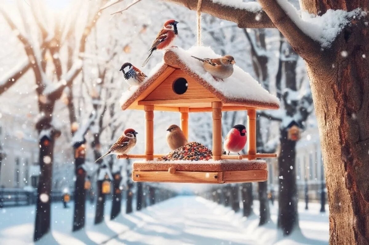    Саратовцы кормят птиц семечками и салом на Кумысной поляне в морозы