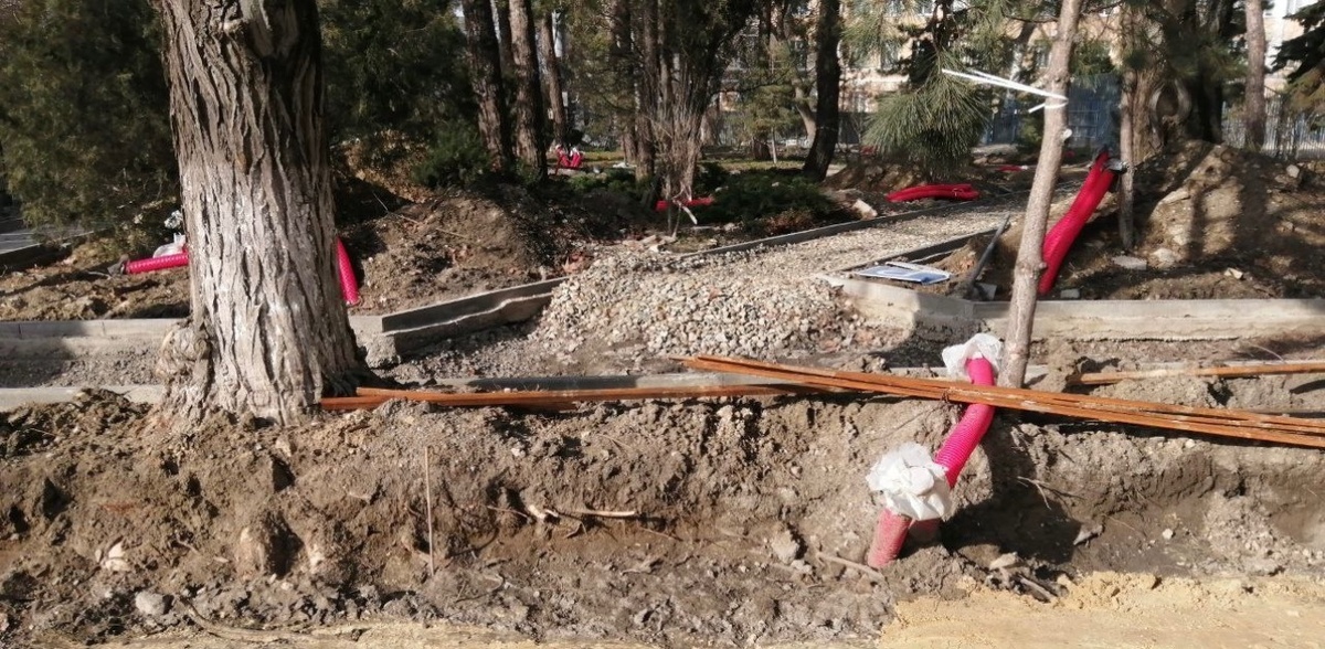 Фото: Юрий Озаровский / telegram