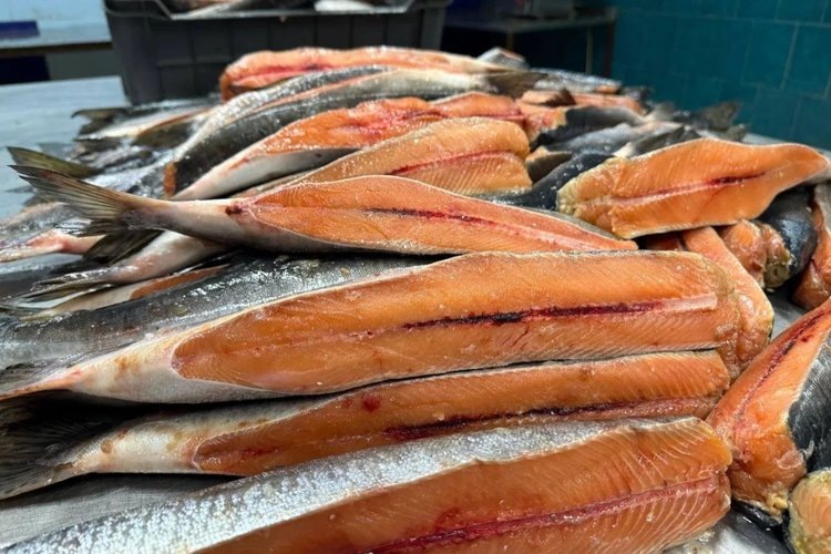    Фото: Минсельхоз Иркутской области