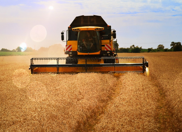 По итогам 2025 года сельхозпроизводство выросло на 4,9%