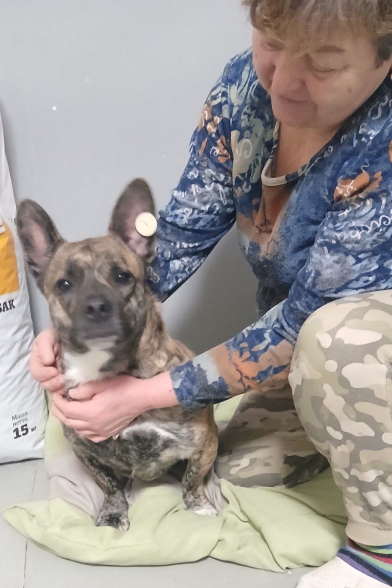 Пёсик Тиграшка с сотрудницей Теремка