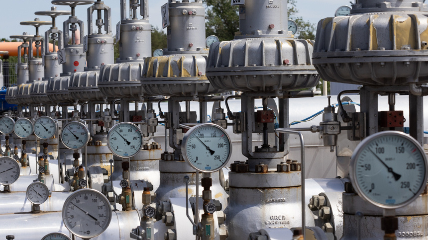    Фото: www.globallookpress.com/Attila Volgyi