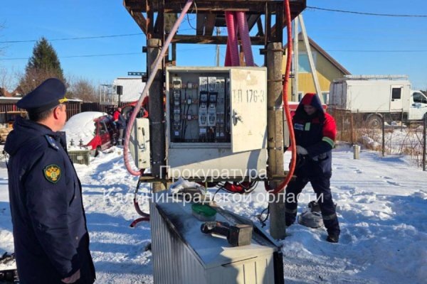 Прокуратура: в СНТ под Светлогорском более 200 домов остались без электричества