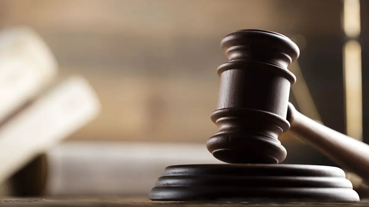    Фото: vm.ru Федор Никулина