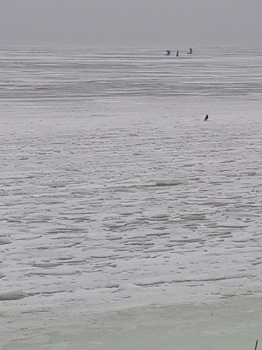 Это Волга сегодня.