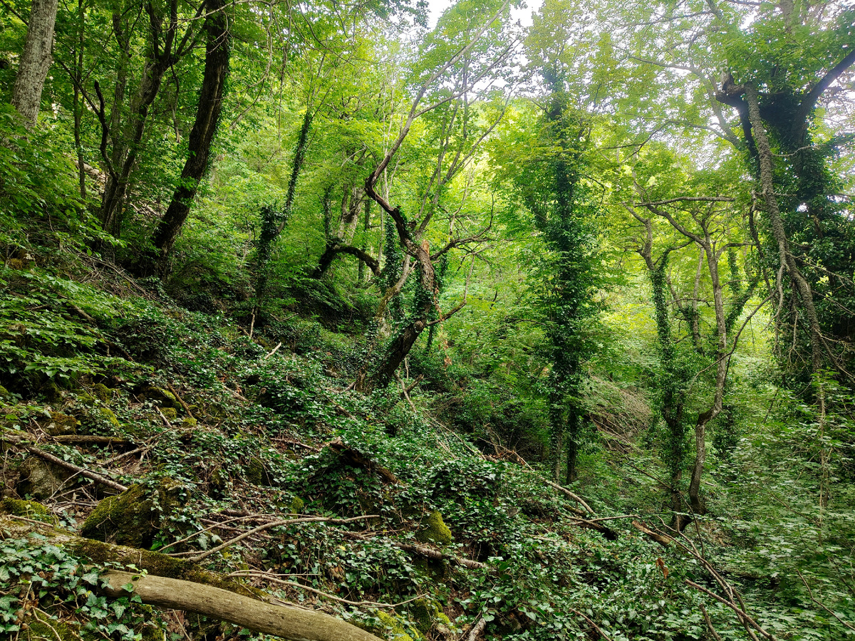 Дело было где-то здесь