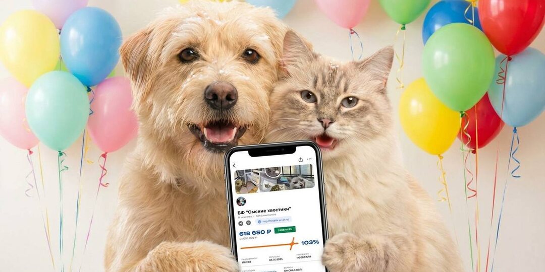 Слёзы отчаяния сменились слезами счастья! Сбор по проекту ЗАКРЫТ!