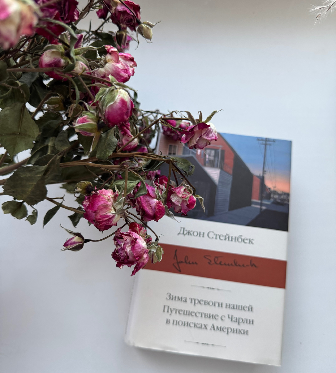 «Зима тревоги нашей» Д.Стейнбек