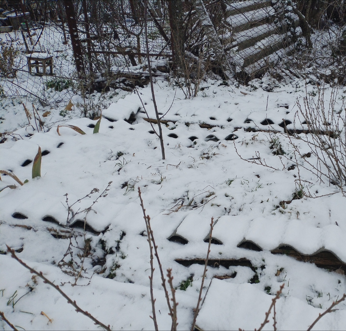 Вон прутик торчит) живая)))