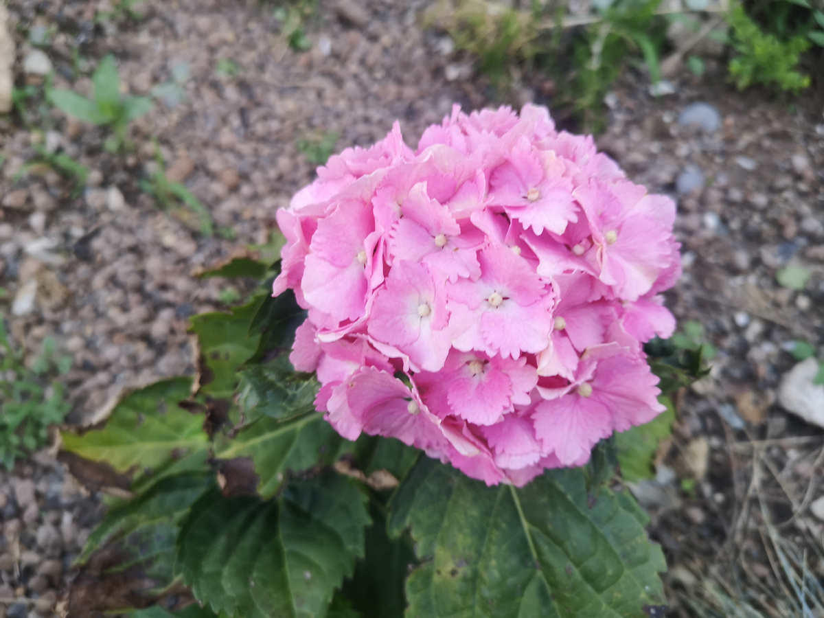 Фото 2024 года