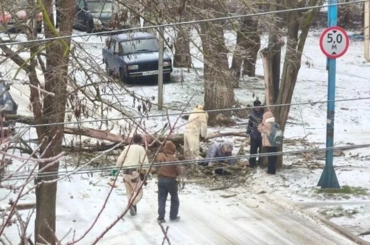    В Керчи в переулке Майском на женщину упало дерево