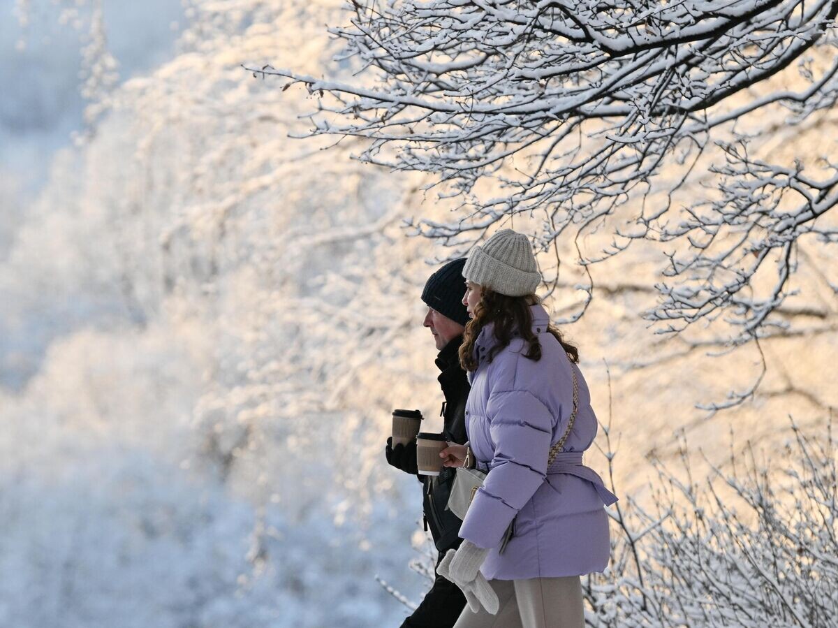    Снег в Москве | © РИА Новости / Максим Блинов