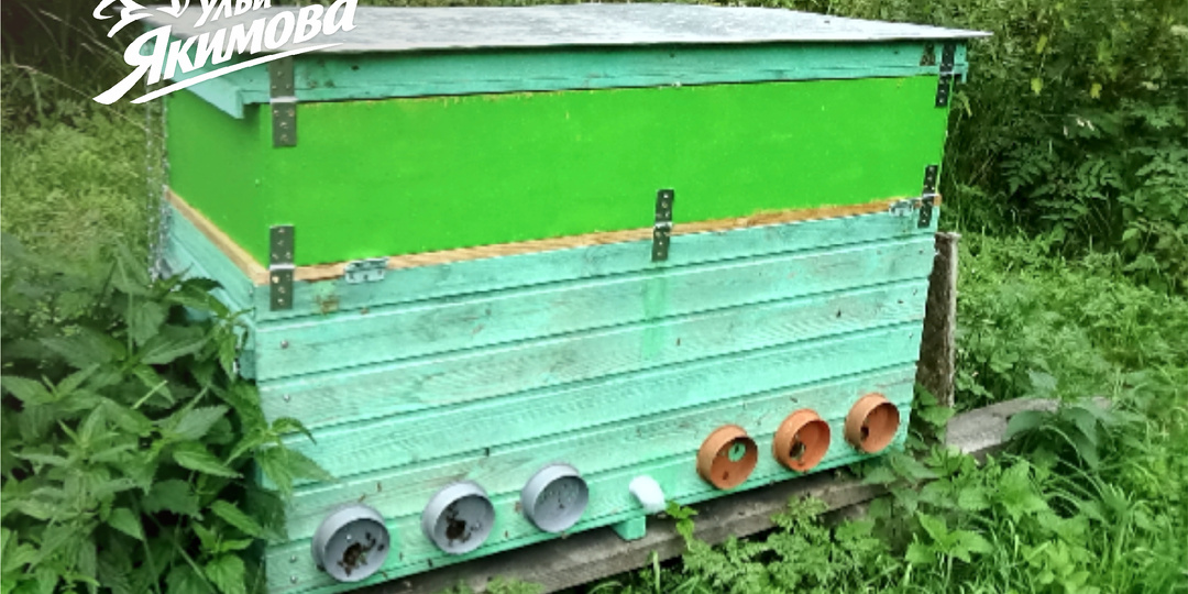 Мой опыт двухматочного пчеловодства в ульях-лежаках Владимирских. Плюсы и минусы