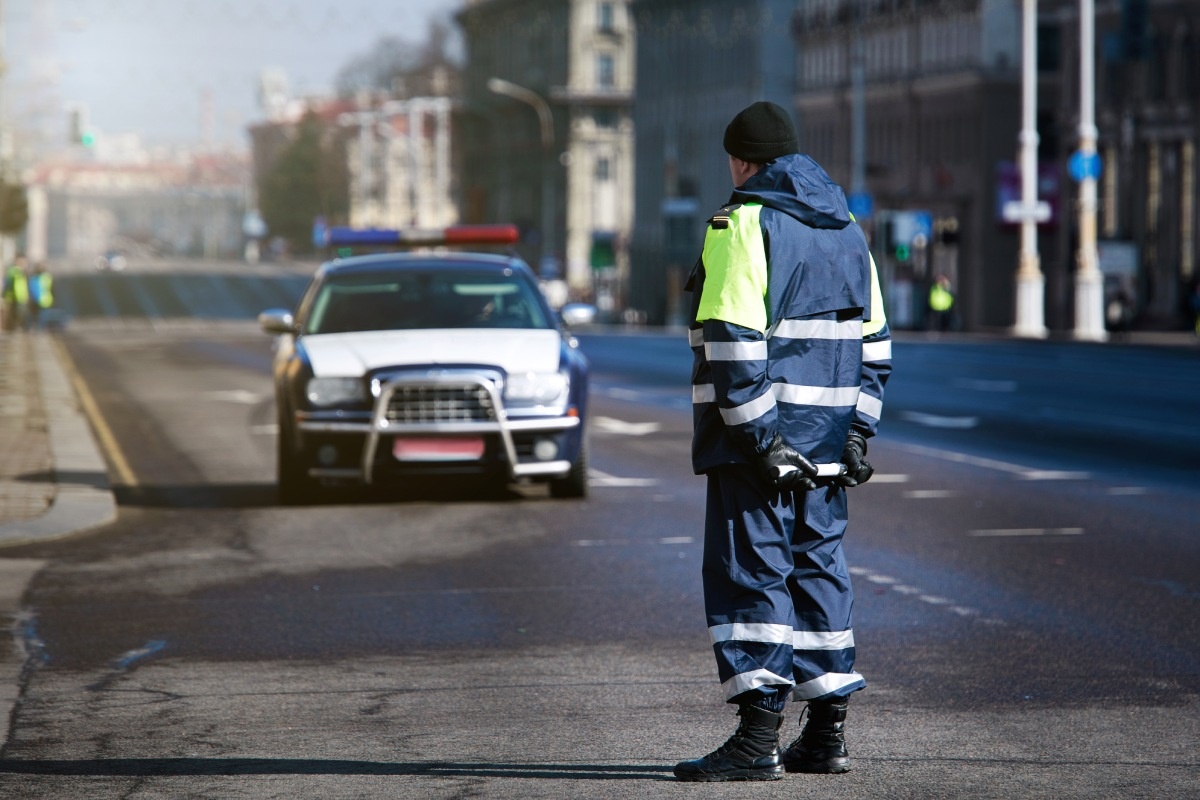    Фото: Tricky_Shark / Shutterstock.com