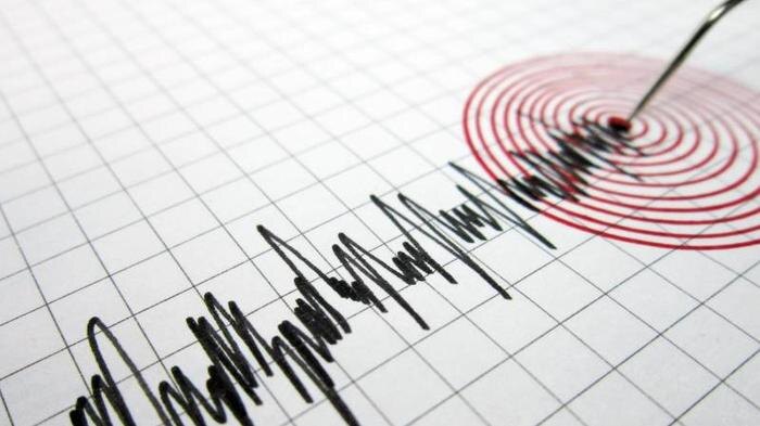 Обложка © Shutterstock / FOTODOM / menur