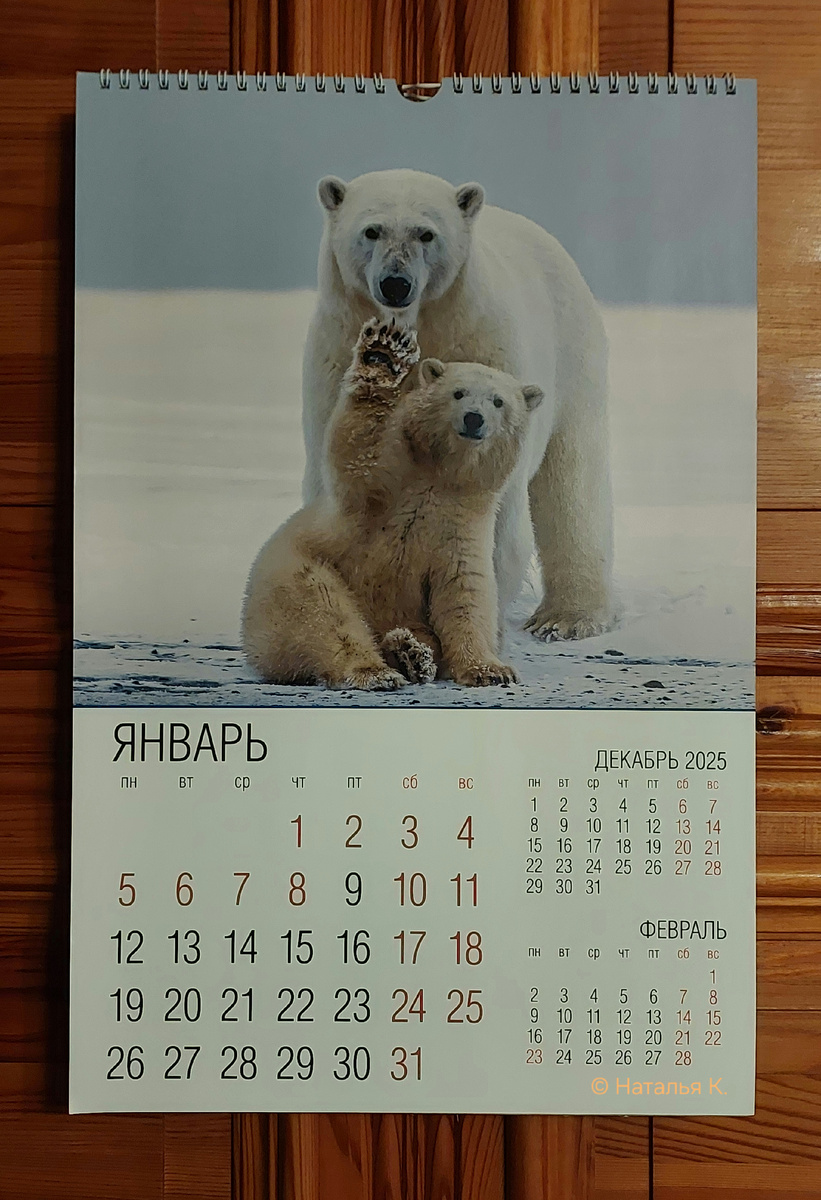 Фото автора канала. Пора перевернуть первый лист календаря.