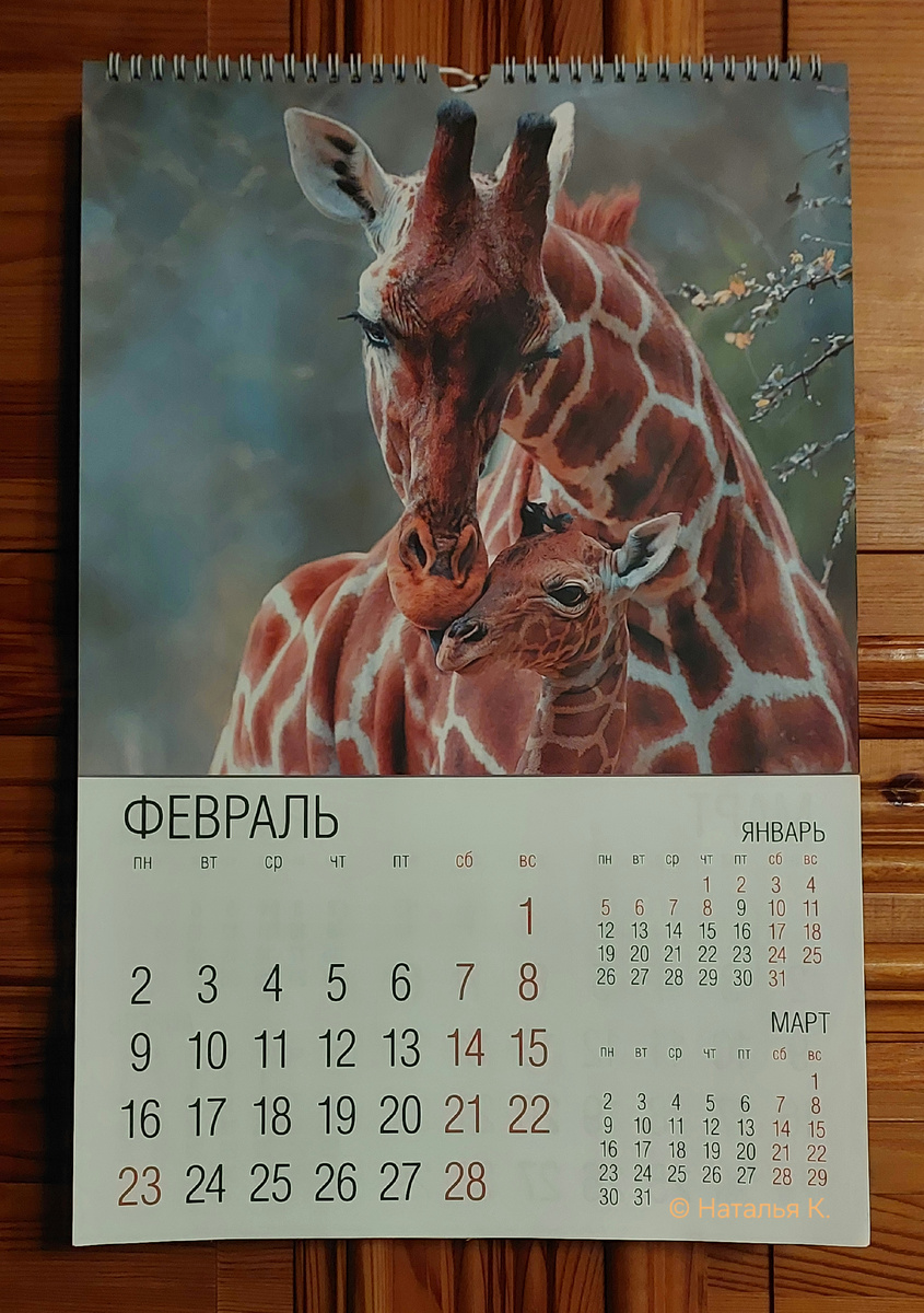 Фото автора канала. Мой календарь. Февраль.