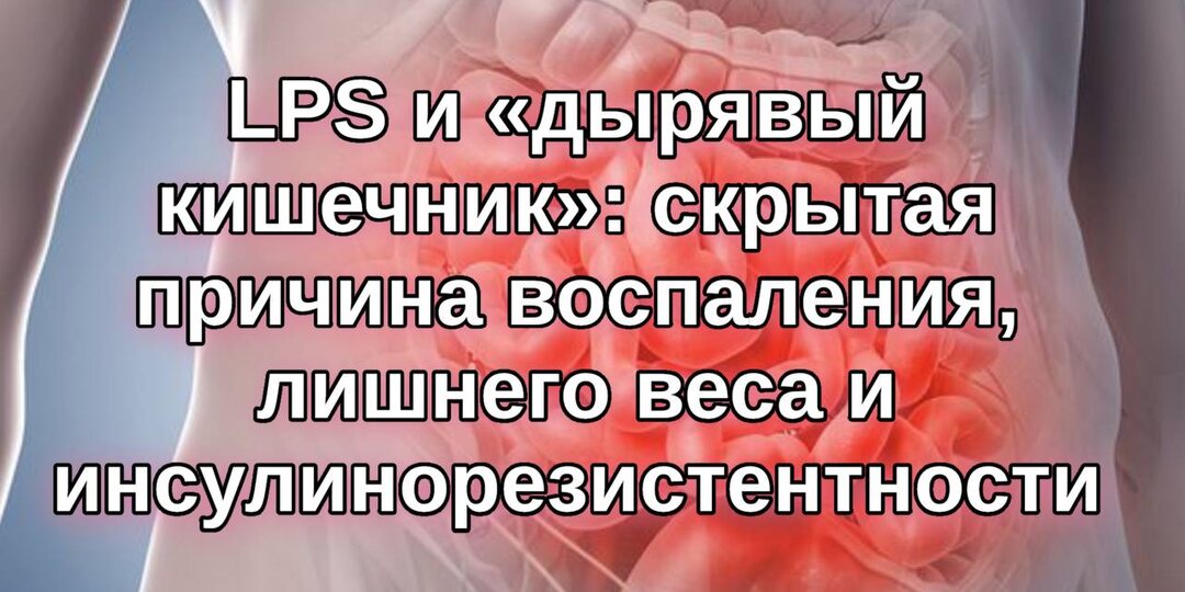 LPS и «дырявый кишечник»: скрытая причина воспаления, лишнего веса и инсулинорезистентности