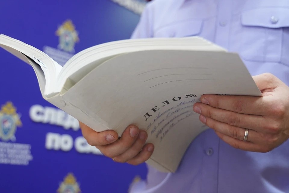    Подозреваемым по делу проходит директор фирмы. Светлана МАКОВЕЕВА