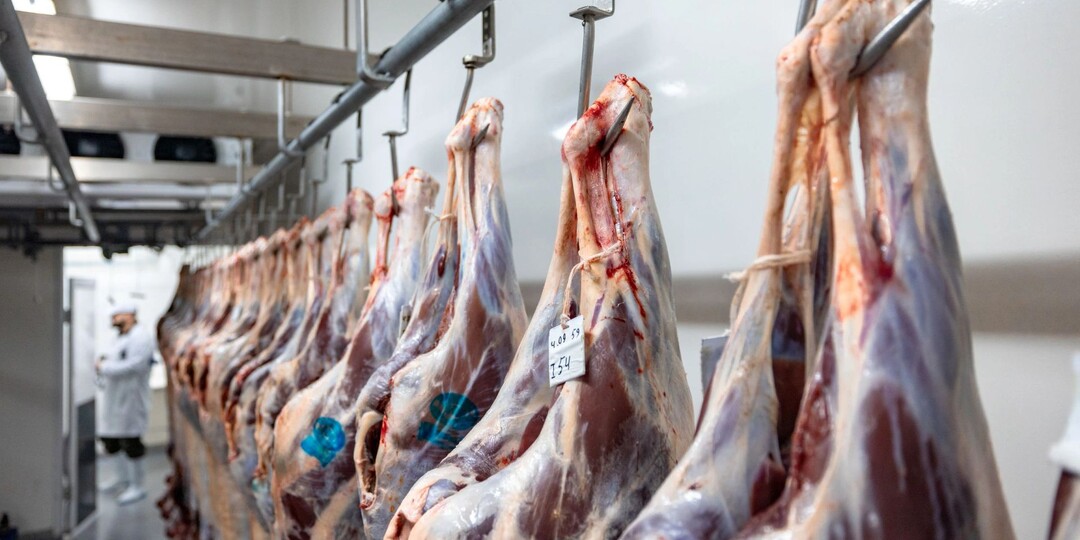 Ямал установил абсолютный рекорд по заготовке оленины