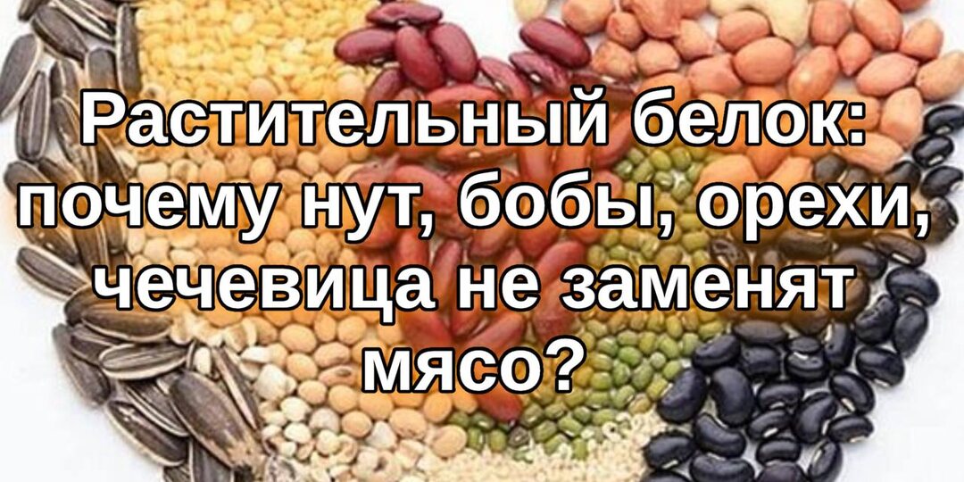 Растительный белок — иллюзия питания: почему нут, бобы, орехи и чечевица не заменяют мясо