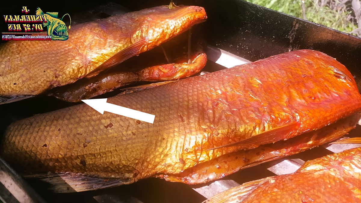    Сёмга на кедровых досках раскроет вкус сибирской тайги