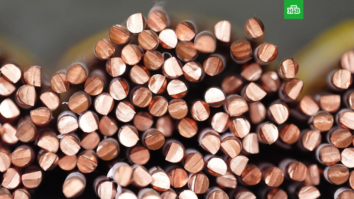    Фото: Marcus Brandt / dpa / picture-alliance / TASS