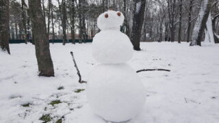    Элина Болдырева Юлия Виноградова