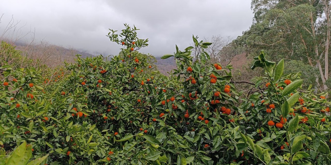 Съездили в Абхазию на один день. Сколько потратили?