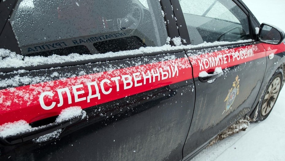 Автор фото: Сергей Ермохин / "ДП"