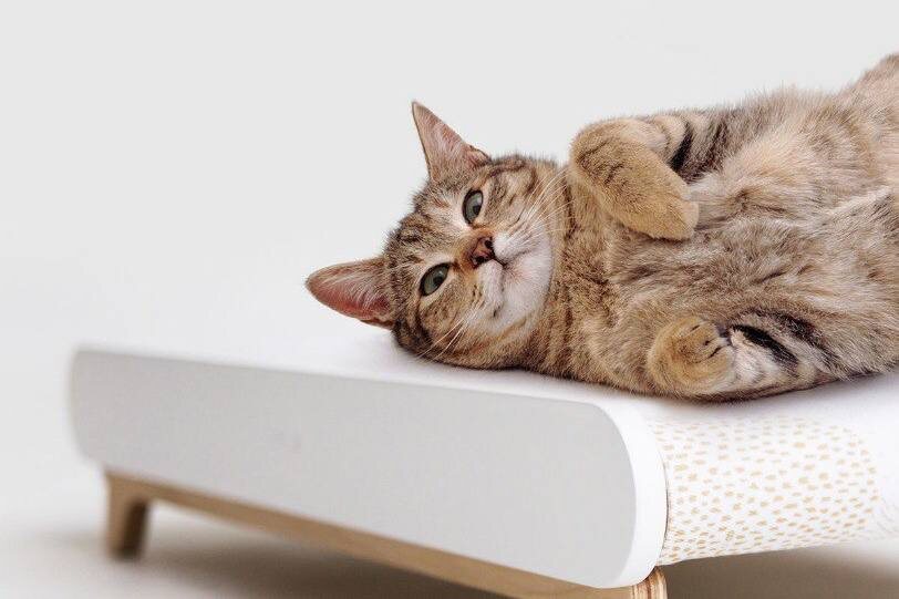 Источник: Pinterest