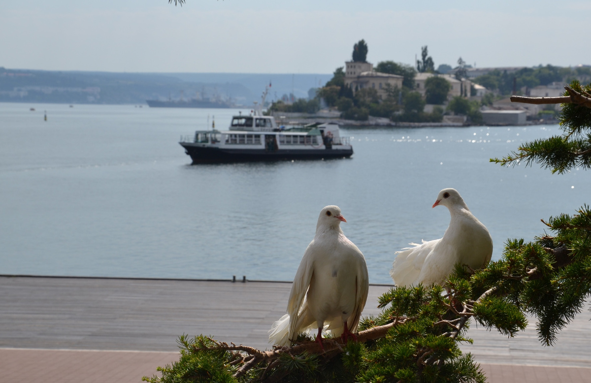 Крым Севастополь /фото автора/