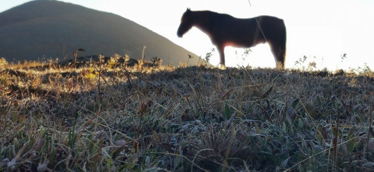 Горный Алтай /фото автора/
