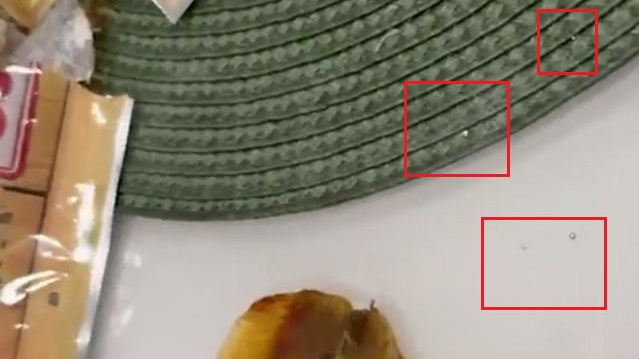 Фото: скриншот видео из соцсетей