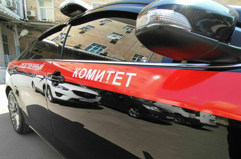   Алина Цыганова/«Парламентская газета»