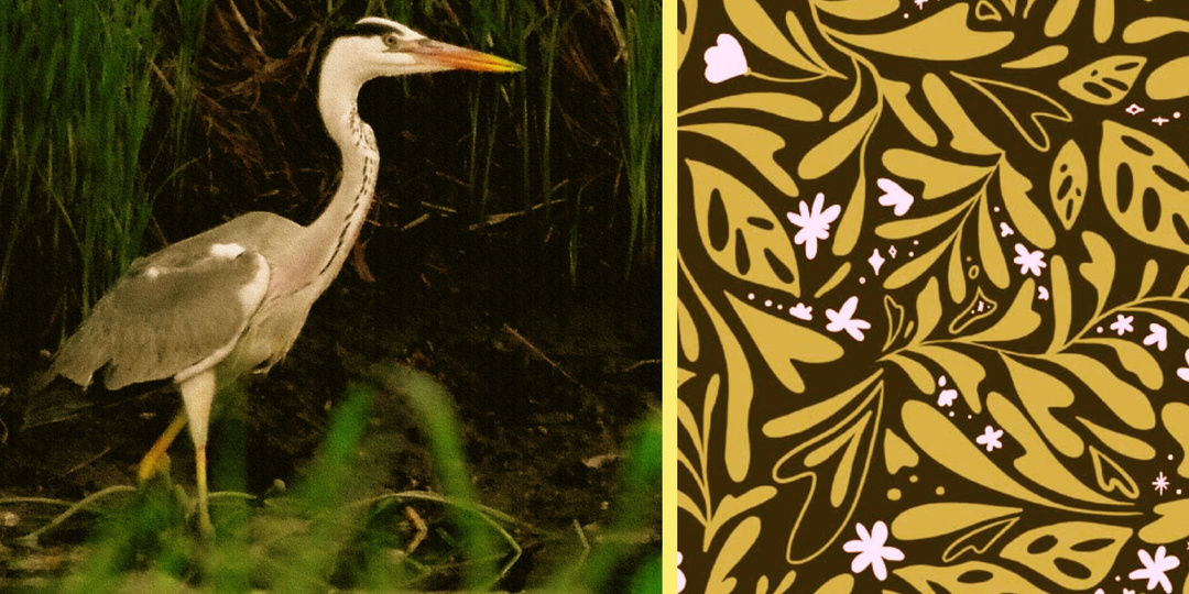 Зачем я птиц в телескоп фотографировала.