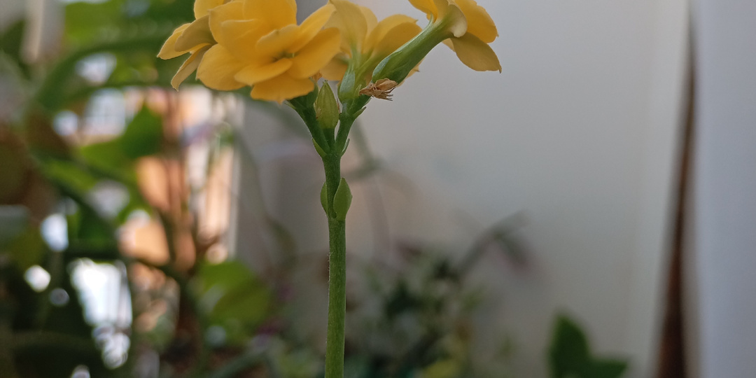 06.02.2026 г. Налоговая подвела наши финансовые итоги за 2025 год.