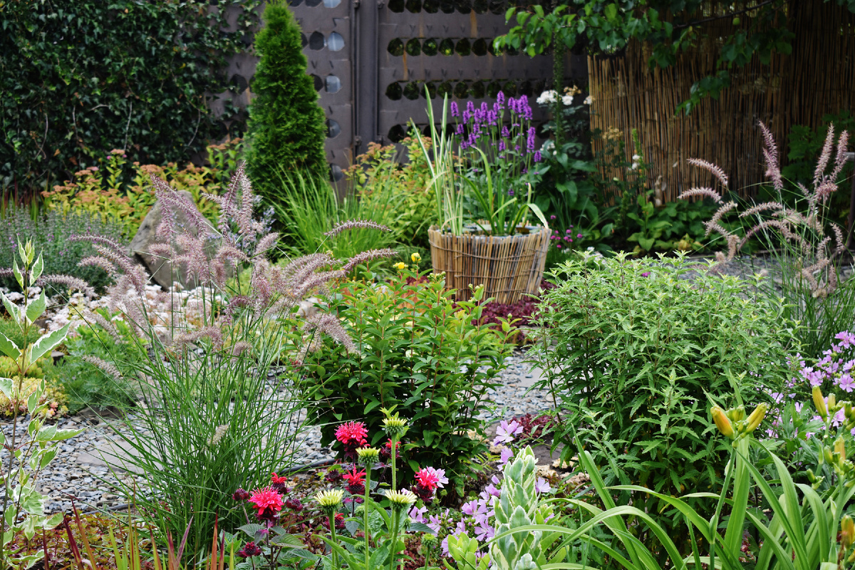 Середина июня