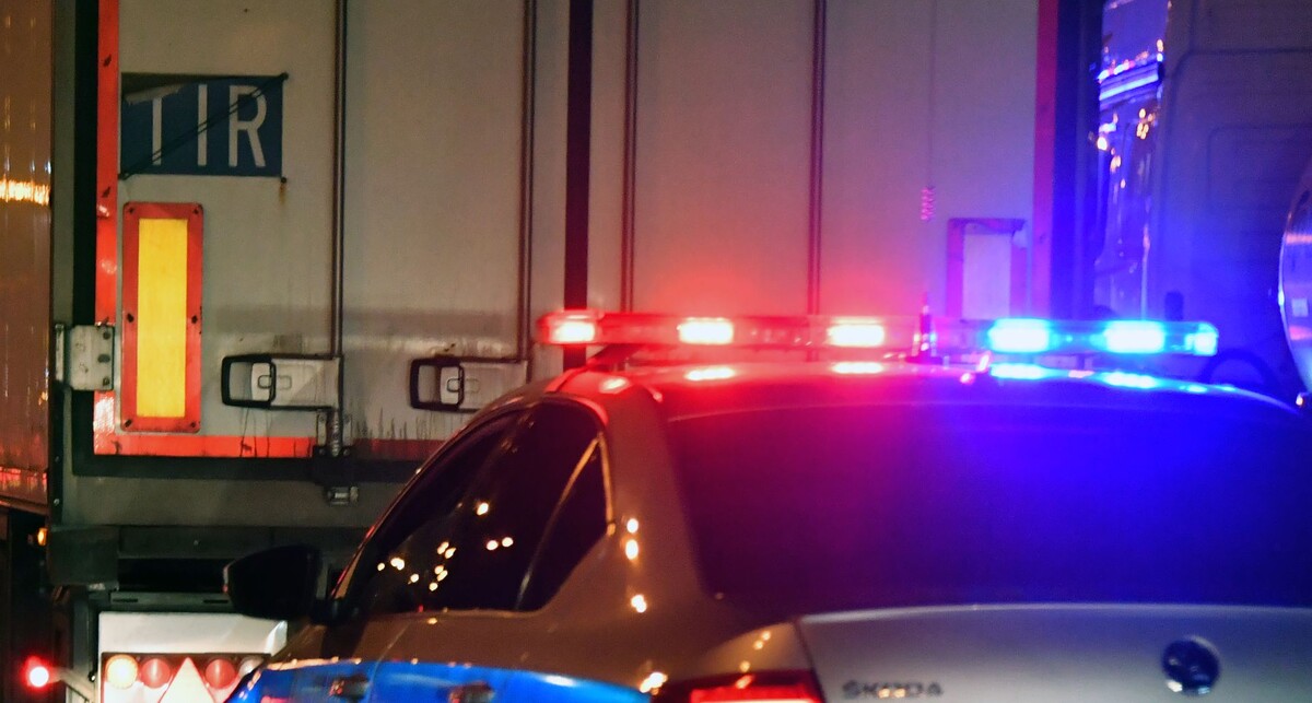     / Источник: © Global Look Press