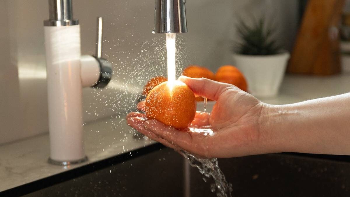    Фото: Shutterstock