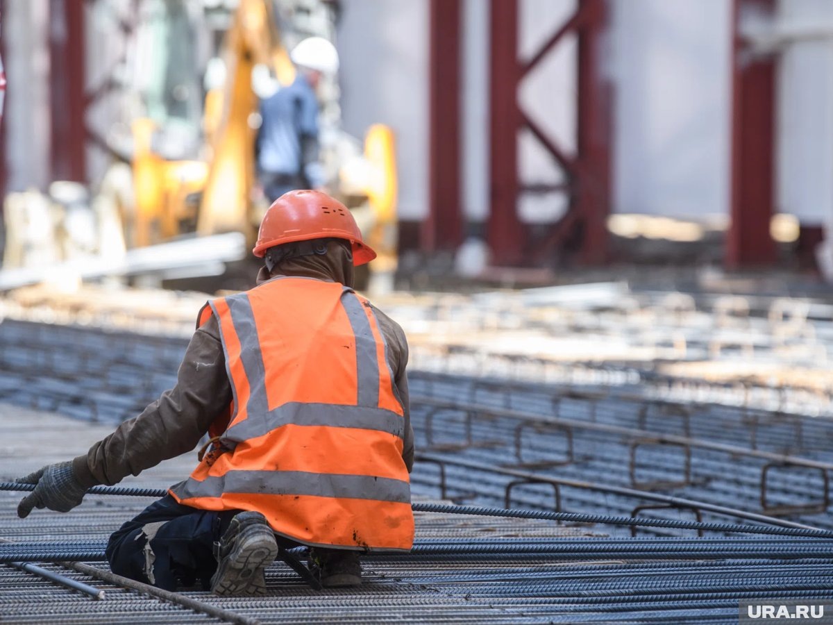    В России в 2025 году трудилось около 100 граждан из Афганистна