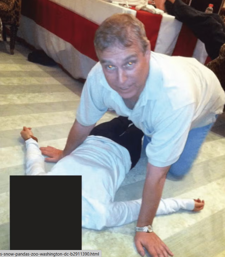 Фотография, на которой принц Эндрю Маунтбаттен-Виндзор склонился над неопознанной женщиной, была обнародована в рамках последних публикаций, содержащих материалы, связанные с Джеффри Эпштейном (PA Media).