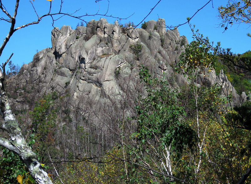 Чистоводное. Драконы Сихотэ-Алиня.  https://fishki.net