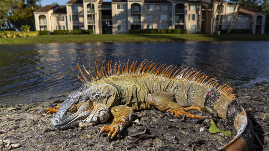    Фото: Zuma/ТАСС