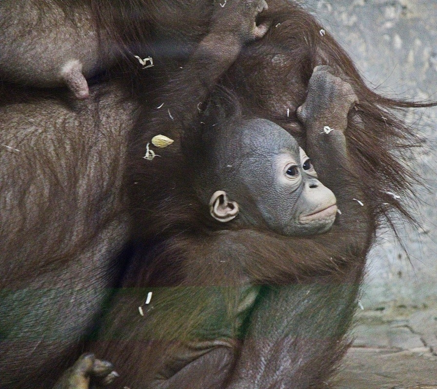 
Анна Новикова