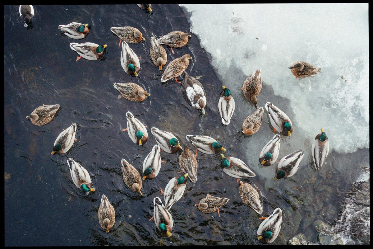 Кольский полуостров. Мурманская область. Фото: Михаил Рябинин