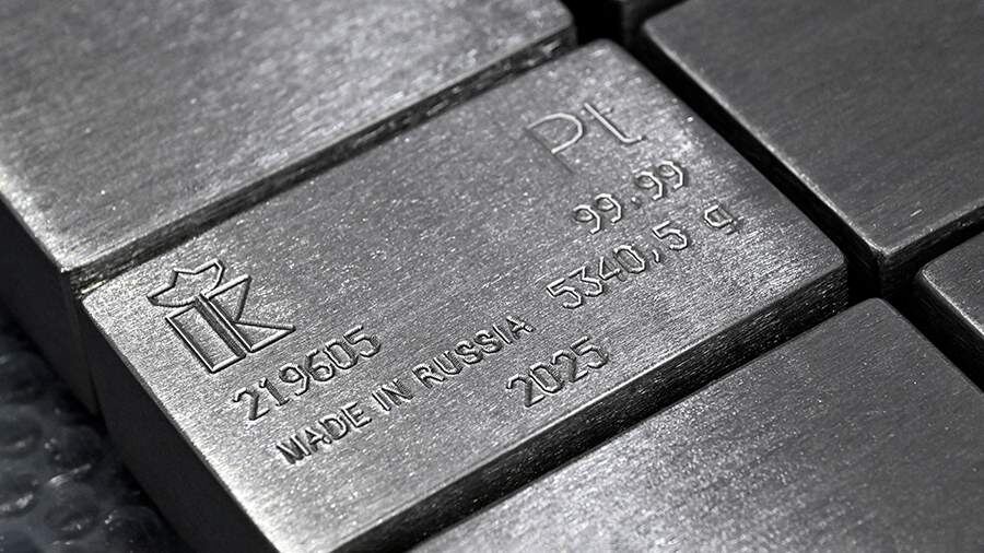    Фото: РИА Новости/Илья Наймушин