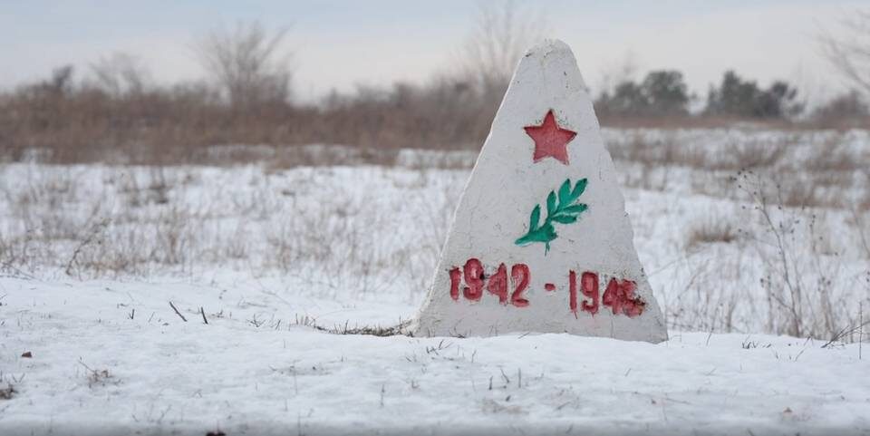    Фото: Волгоградского ГАУ
