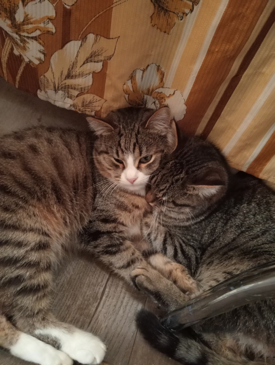 Мы с братиком любимым!❤️